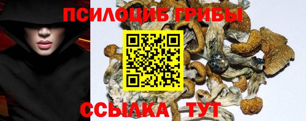 где купить наркотик  Галлюциногенные грибы мухоморы  Вход с VPN  Добрянка 